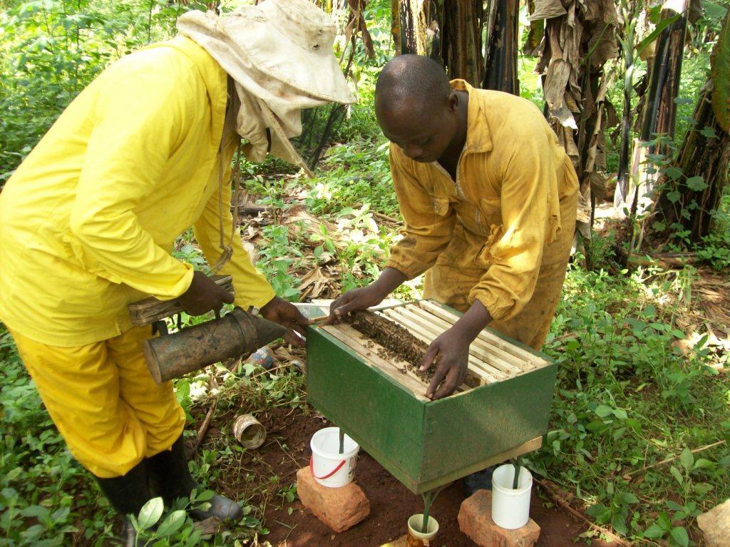 Bee Keepers